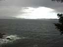 ./images/koeye/fitz-hugh/20200820/fitz-hugh20200820_124501.jpg