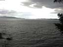 ./images/koeye/fitz-hugh/20200820/fitz-hugh20200820_125001.jpg