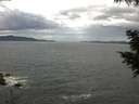 ./images/koeye/fitz-hugh/20200820/fitz-hugh20200820_125501.jpg
