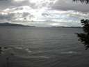./images/koeye/fitz-hugh/20200820/fitz-hugh20200820_131501.jpg