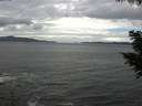 ./images/koeye/fitz-hugh/20200820/fitz-hugh20200820_132501.jpg