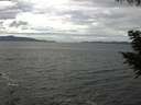 ./images/koeye/fitz-hugh/20200820/fitz-hugh20200820_134001.jpg