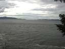 ./images/koeye/fitz-hugh/20200820/fitz-hugh20200820_134501.jpg