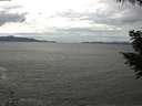 ./images/koeye/fitz-hugh/20200820/fitz-hugh20200820_135001.jpg