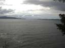 ./images/koeye/fitz-hugh/20200820/fitz-hugh20200820_141001.jpg