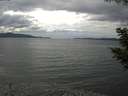 ./images/koeye/fitz-hugh/20200820/fitz-hugh20200820_142001.jpg