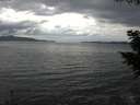 ./images/koeye/fitz-hugh/20200820/fitz-hugh20200820_142501.jpg