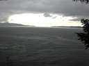 ./images/koeye/fitz-hugh/20200820/fitz-hugh20200820_153501.jpg