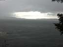 ./images/koeye/fitz-hugh/20200820/fitz-hugh20200820_154001.jpg