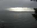 ./images/koeye/fitz-hugh/20200820/fitz-hugh20200820_154501.jpg