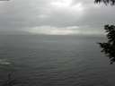 ./images/koeye/fitz-hugh/20200820/fitz-hugh20200820_155001.jpg