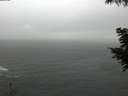 ./images/koeye/fitz-hugh/20200820/fitz-hugh20200820_155501.jpg