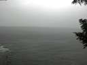 ./images/koeye/fitz-hugh/20200820/fitz-hugh20200820_160001.jpg
