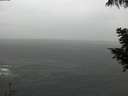 ./images/koeye/fitz-hugh/20200820/fitz-hugh20200820_160501.jpg