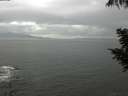 ./images/koeye/fitz-hugh/20200820/fitz-hugh20200820_161501.jpg