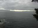 ./images/koeye/fitz-hugh/20200820/fitz-hugh20200820_163501.jpg