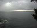 ./images/koeye/fitz-hugh/20200820/fitz-hugh20200820_164001.jpg