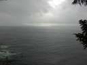 ./images/koeye/fitz-hugh/20200820/fitz-hugh20200820_164501.jpg