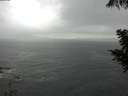 ./images/koeye/fitz-hugh/20200820/fitz-hugh20200820_165001.jpg