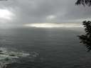 ./images/koeye/fitz-hugh/20200820/fitz-hugh20200820_165501.jpg