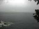 ./images/koeye/fitz-hugh/20200820/fitz-hugh20200820_172001.jpg