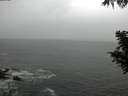 ./images/koeye/fitz-hugh/20200820/fitz-hugh20200820_172501.jpg