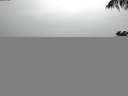 ./images/koeye/fitz-hugh/20200820/fitz-hugh20200820_180502.jpg