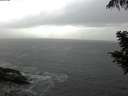 ./images/koeye/fitz-hugh/20200820/fitz-hugh20200820_181502.jpg