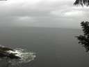 ./images/koeye/fitz-hugh/20200820/fitz-hugh20200820_182502.jpg