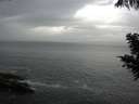 ./images/koeye/fitz-hugh/20200820/fitz-hugh20200820_183502.jpg