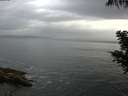 ./images/koeye/fitz-hugh/20200820/fitz-hugh20200820_185501.jpg