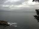 ./images/koeye/fitz-hugh/20200820/fitz-hugh20200820_190501.jpg