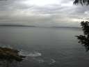 ./images/koeye/fitz-hugh/20200820/fitz-hugh20200820_191501.jpg