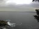 ./images/koeye/fitz-hugh/20200820/fitz-hugh20200820_192501.jpg