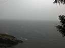 ./images/koeye/fitz-hugh/20200820/fitz-hugh20200820_202501.jpg