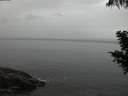 ./images/koeye/fitz-hugh/20200820/fitz-hugh20200820_211002.jpg