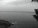 ./images/koeye/fitz-hugh/20200820/fitz-hugh20200820_211502.jpg