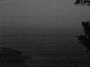 ./images/koeye/fitz-hugh/20200820/fitz-hugh20200820_212002.jpg