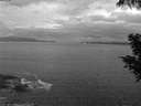 ./images/koeye/fitz-hugh/20200821/fitz-hugh20200821_054502.jpg