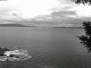 ./images/koeye/fitz-hugh/20200821/fitz-hugh20200821_055002.jpg
