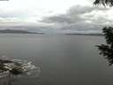 ./images/koeye/fitz-hugh/20200821/fitz-hugh20200821_055502.jpg
