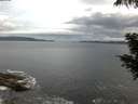 ./images/koeye/fitz-hugh/20200821/fitz-hugh20200821_060502.jpg
