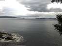 ./images/koeye/fitz-hugh/20200821/fitz-hugh20200821_061501.jpg