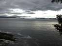 ./images/koeye/fitz-hugh/20200821/fitz-hugh20200821_063501.jpg