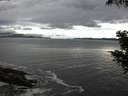 ./images/koeye/fitz-hugh/20200821/fitz-hugh20200821_064501.jpg