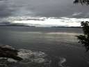 ./images/koeye/fitz-hugh/20200821/fitz-hugh20200821_065001.jpg