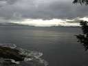 ./images/koeye/fitz-hugh/20200821/fitz-hugh20200821_070501.jpg