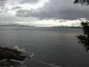 ./images/koeye/fitz-hugh/20200821/fitz-hugh20200821_071001.jpg