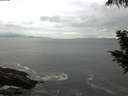 ./images/koeye/fitz-hugh/20200821/fitz-hugh20200821_071501.jpg