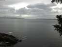 ./images/koeye/fitz-hugh/20200821/fitz-hugh20200821_072501.jpg